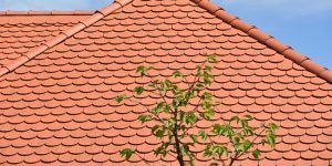 Pak Clay Khaprail Tiles in English کھپریل ٹائل