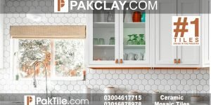 Hexagon Ceramic Tiles Design